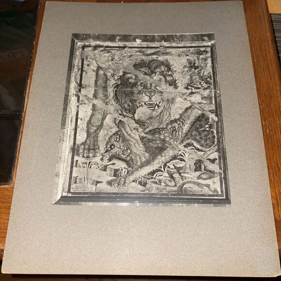 Vintage Lion Killing Leopard From Pompeii Mounted Roman Mosaic Photo Naples - Picture 1 of 3
